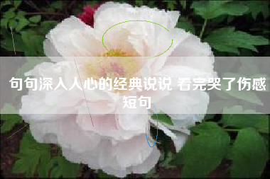 句句深入人心的经典说说 看完哭了伤感短句