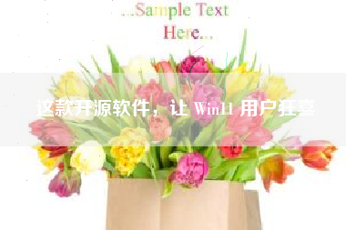 这款开源软件，让 Win11 用户狂喜